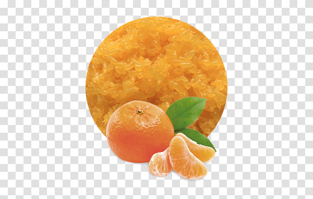 Mandarin Orange Sacs Manufacturer And Supplier Lemon Bergamota Montenegrina, Citrus Fruit, Plant, Food, Grapefruit Transparent Png