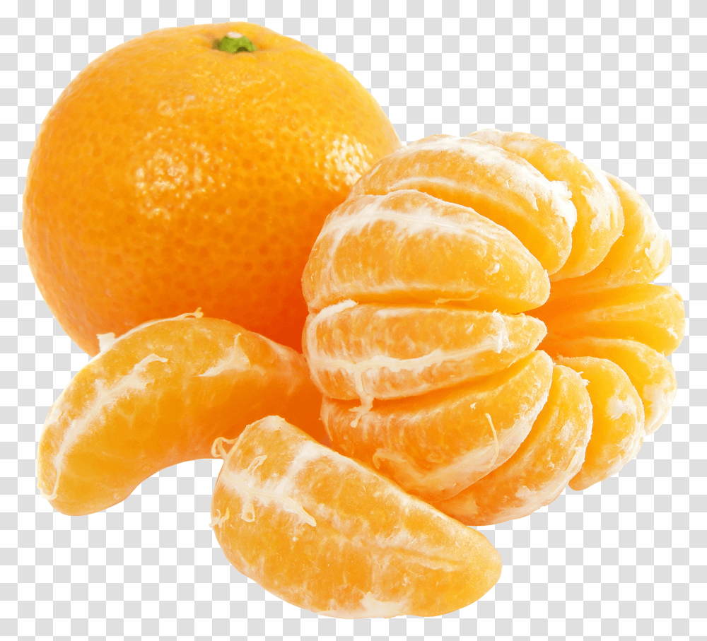 Mandarin, Plant, Citrus Fruit, Food, Orange Transparent Png