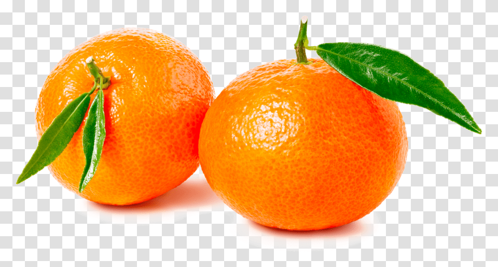 Mandarina, Citrus Fruit, Plant, Food, Orange Transparent Png