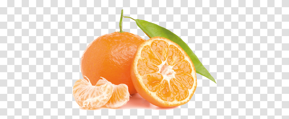 Mandarina Fruta Madurada Al Sol Oleo Essencial De Bergamota, Citrus Fruit, Plant, Food, Orange Transparent Png