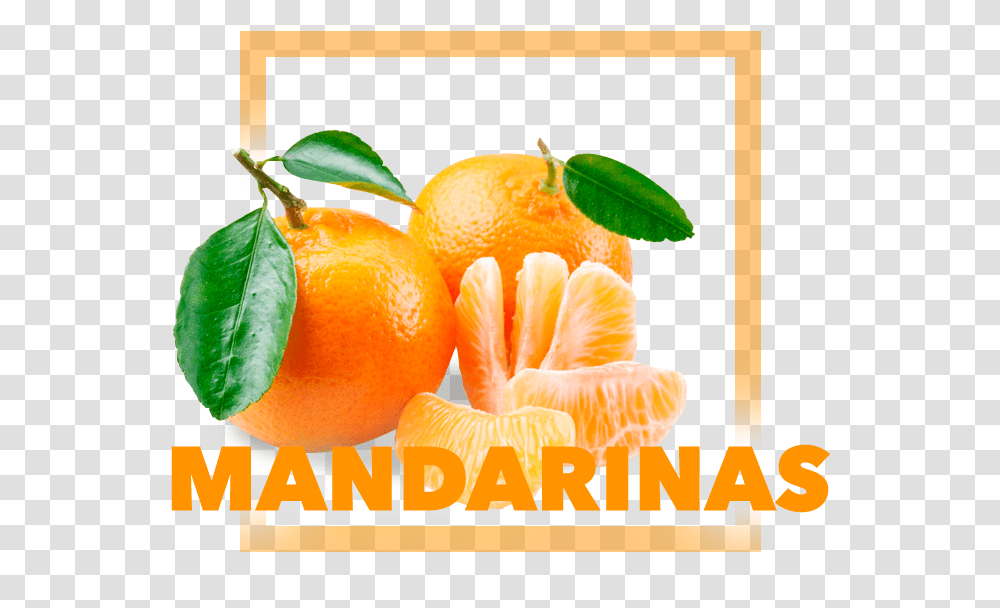 Mandarina Klementinas, Citrus Fruit, Plant, Food, Orange Transparent Png