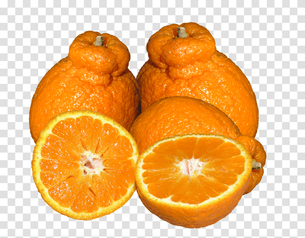 Mandarins 960, Fruit, Citrus Fruit, Plant, Food Transparent Png