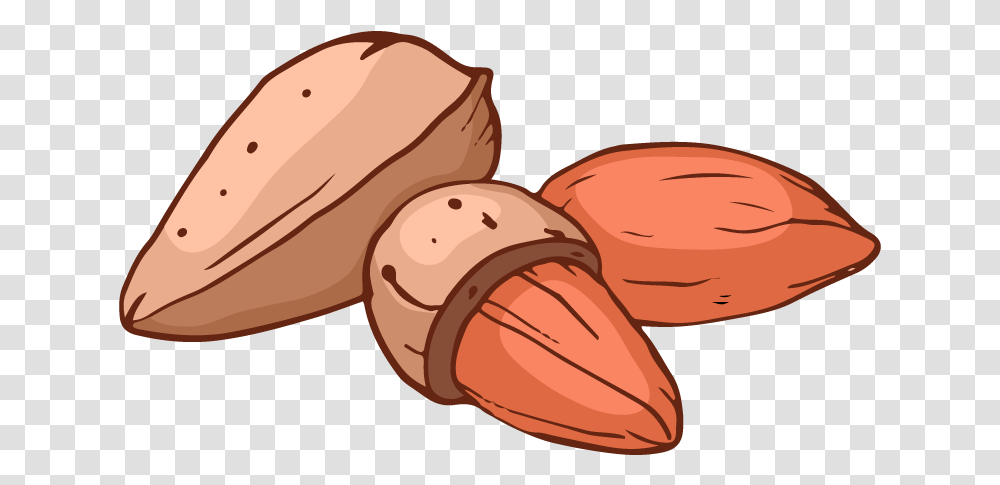 Mandel Almond, Plant, Nut, Vegetable, Food Transparent Png