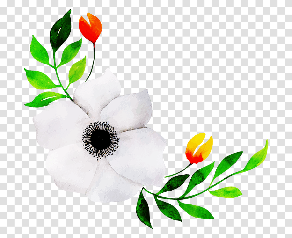 Mandevilla, Plant, Flower, Blossom, Pollen Transparent Png