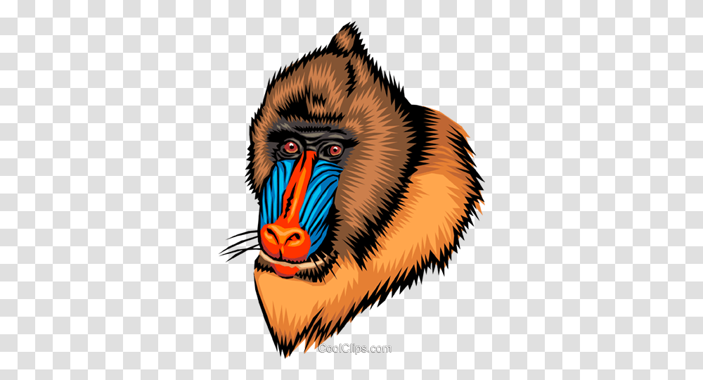 Mandrill Royalty Free Vector Clip Art Illustration, Monkey, Wildlife, Mammal, Animal Transparent Png
