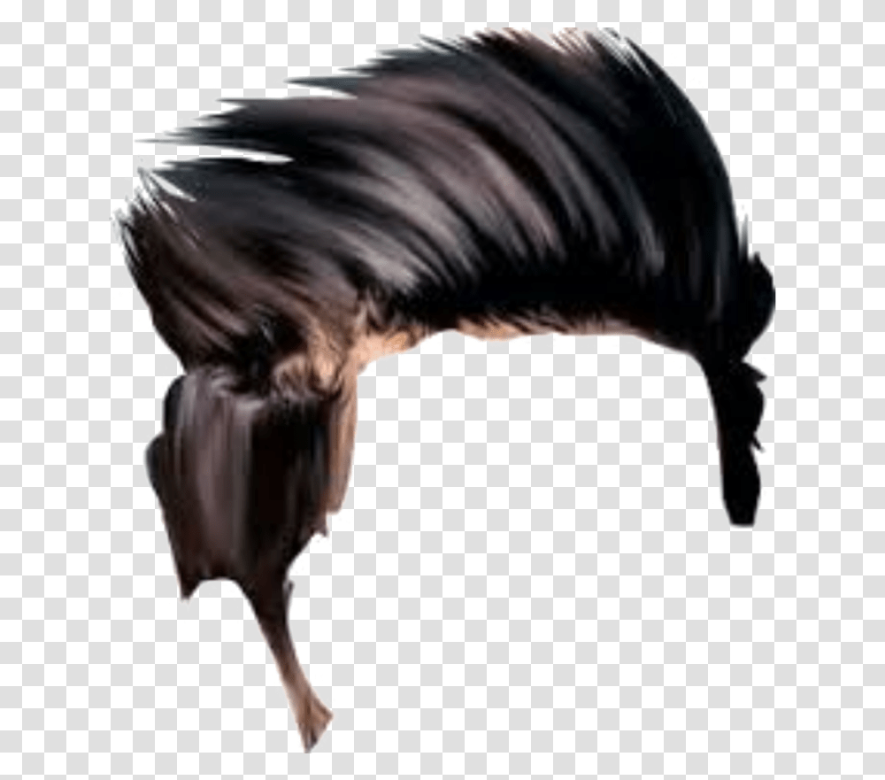 Mane, Furniture, Animal, Mammal, Person Transparent Png