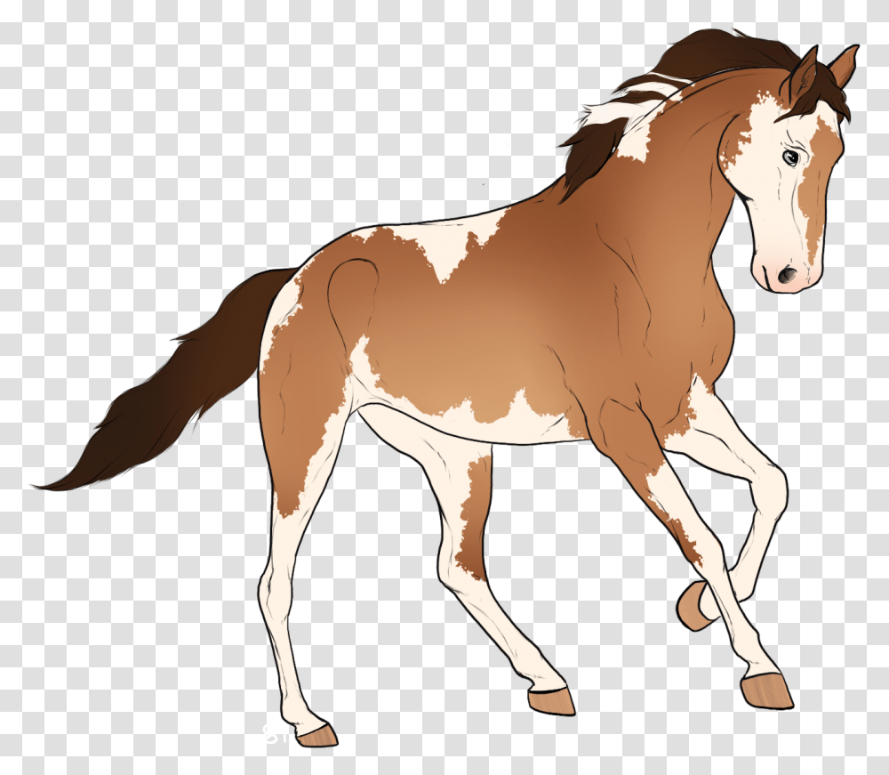 Mane, Horse, Mammal, Animal, Colt Horse Transparent Png