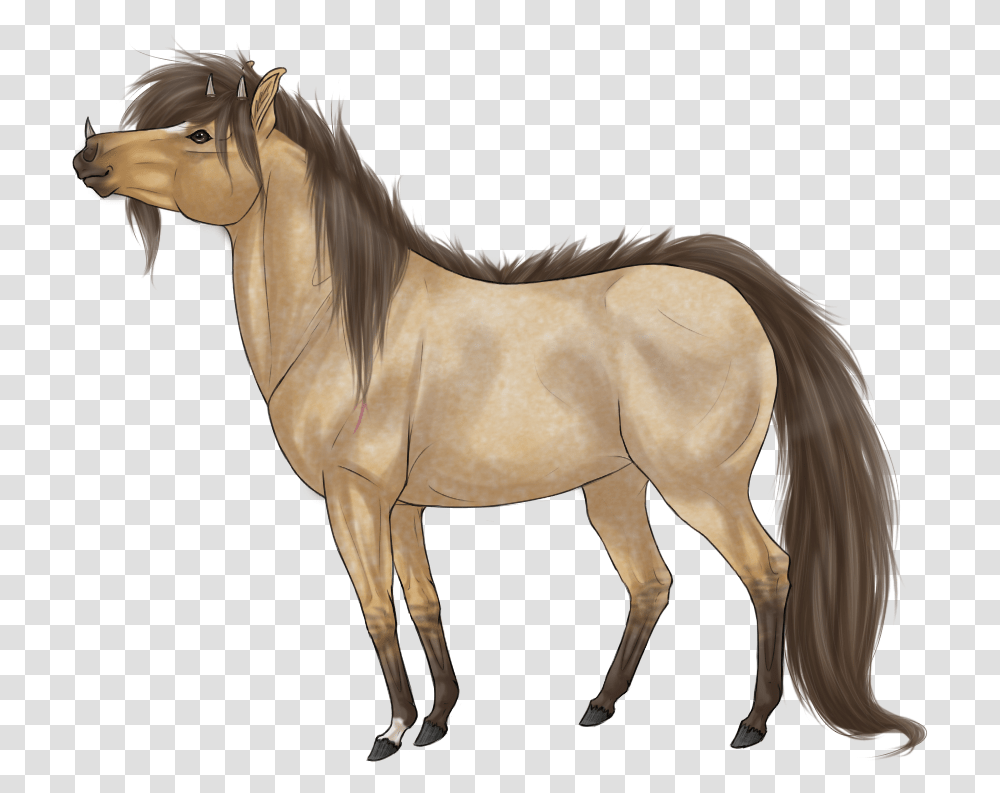Mane, Horse, Mammal, Animal, Colt Horse Transparent Png