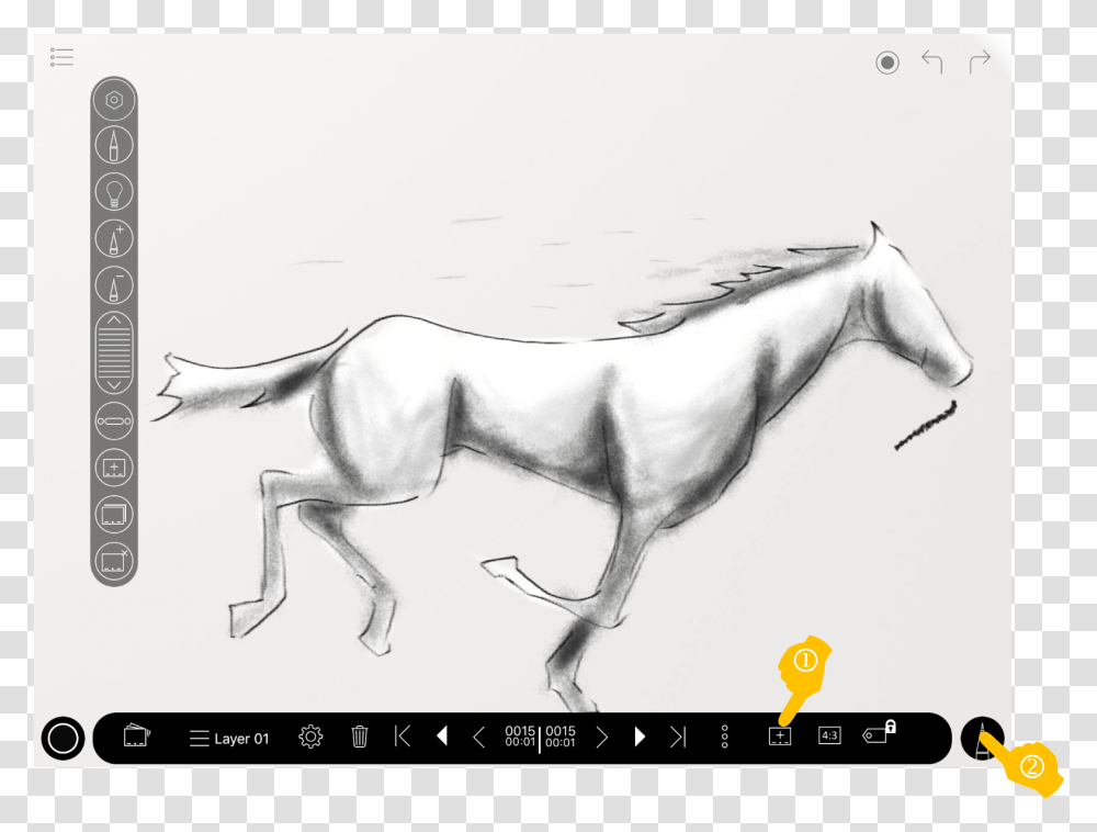 Mane, Horse, Mammal, Animal, Drawing Transparent Png