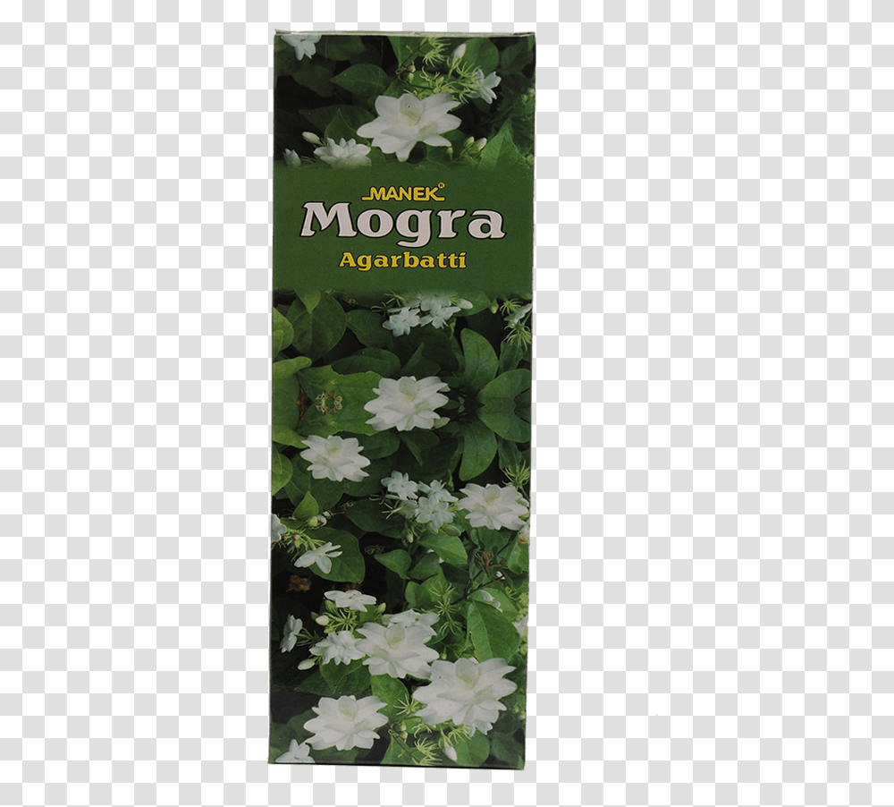 Manek Agarbatti Manufacturers Download White Trillium, Plant, Leaf, Flower, Blossom Transparent Png