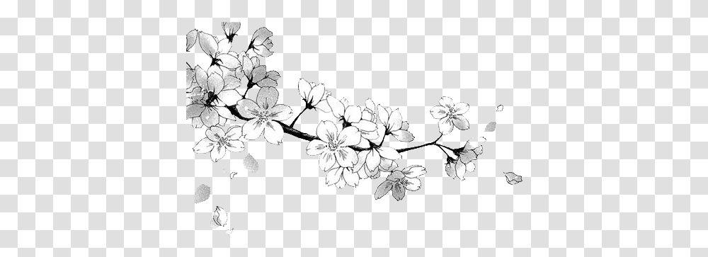 Manga Flower Render Dby Domicoamv Daficnv Fiction Full Flower Draw, Graphics, Art, Floral Design, Pattern Transparent Png