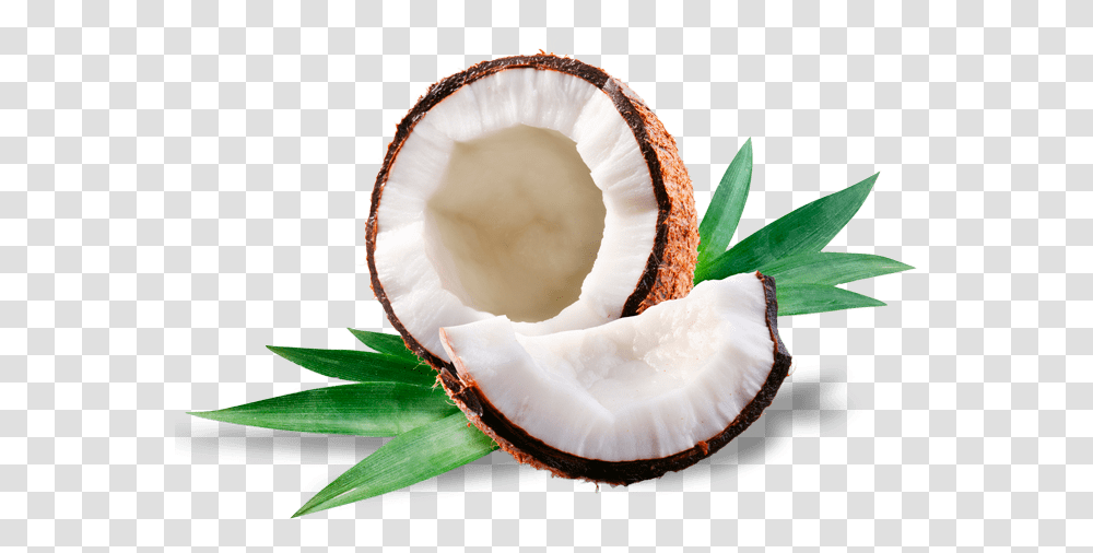 Mangaroca Batida De Coco Coconut Perfume Amp Cologne, Plant, Vegetable, Food, Fruit Transparent Png