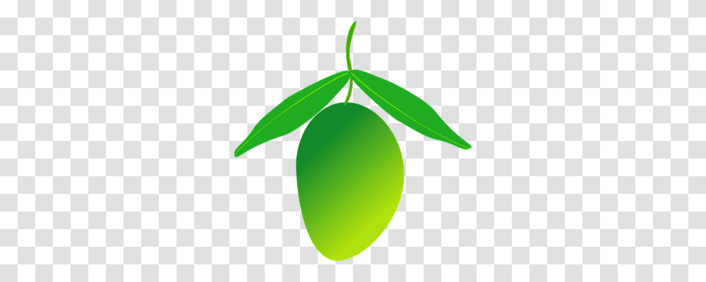 Mango Food, Plant, Fruit, Green Transparent Png