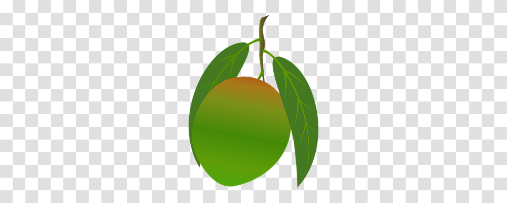 Mango Food, Plant, Tennis Ball, Sport Transparent Png
