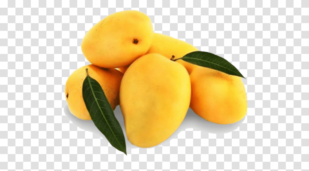 Mango Alphonso Pakistani Mangoes, Plant, Fruit, Food, Orange Transparent Png