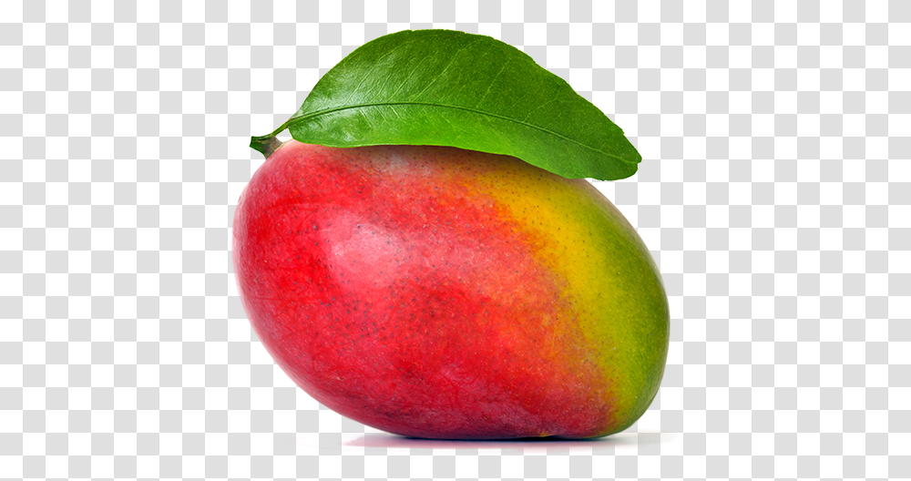 Mango Apple Smoothie Fruit Food Mango Download 800 Mango, Plant Transparent Png