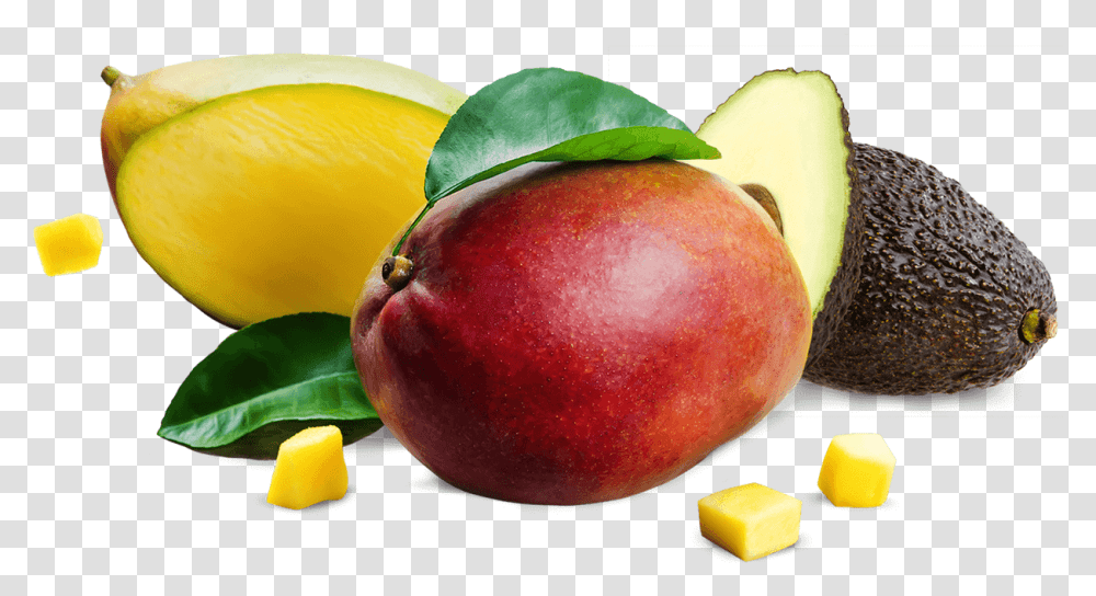 Mango Avocado, Plant, Apple, Fruit, Food Transparent Png