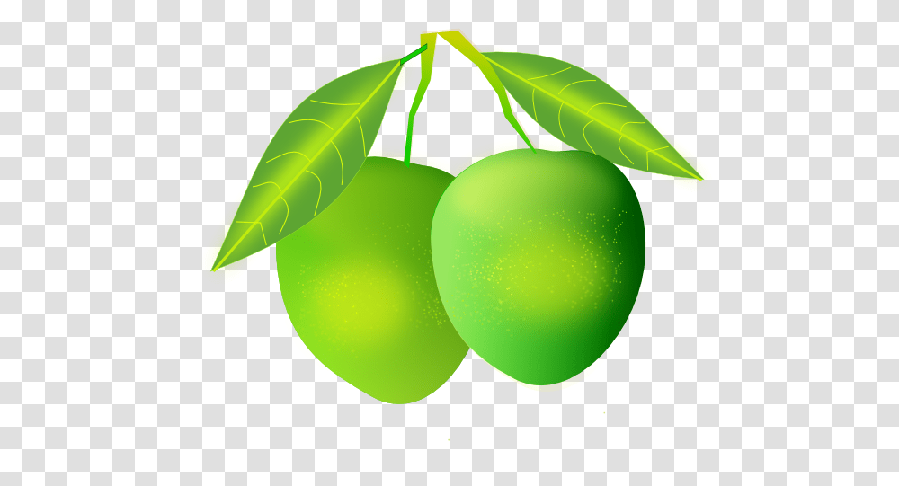 Mango Clip Art, Tennis Ball, Sport, Sports, Plant Transparent Png
