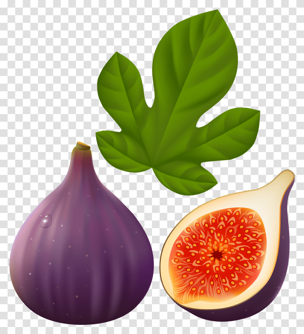 Mango Clipart Common Fruit Fig Clipart, Plant, Food Transparent Png