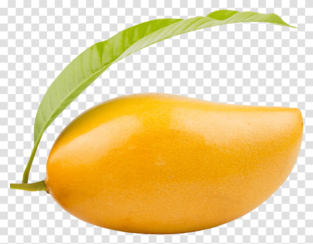 Mango Clipart Image Of Mango, Plant, Orange, Citrus Fruit, Food Transparent Png