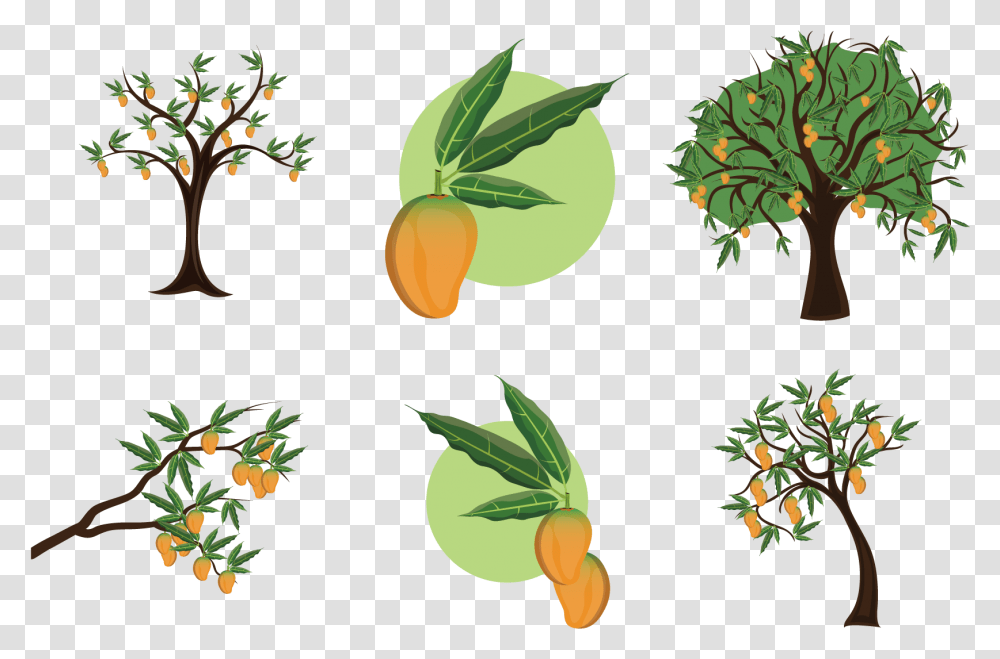 Mango Clipart Stem Mango Tree Clipart Black And White, Plant, Leaf, Vegetation, Food Transparent Png