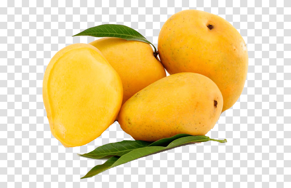 Mango Free Banginapalli Mangoes, Plant, Fruit, Food, Orange Transparent Png