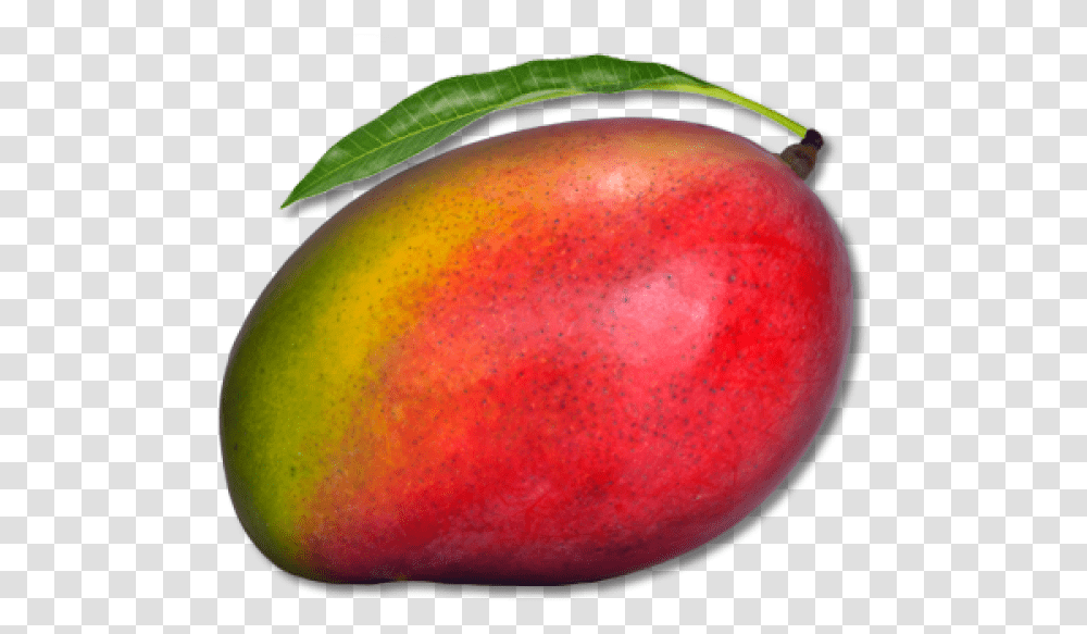 Mango Free Download 13 Red Mango, Apple, Fruit, Plant, Food Transparent Png
