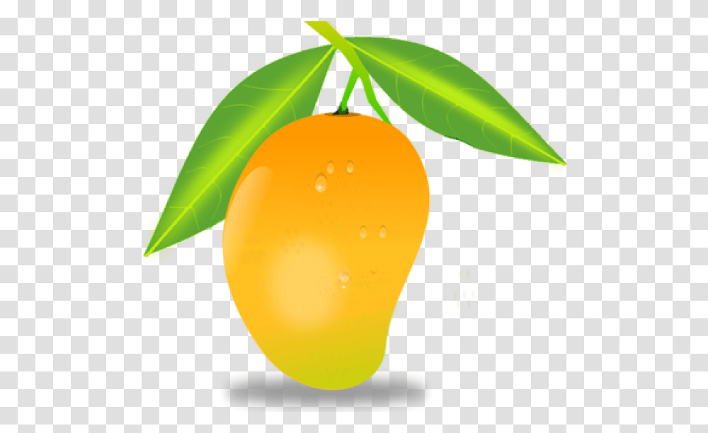 Mango Free Download Mango, Plant, Fruit, Food, Leaf Transparent Png