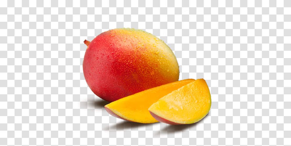 Mango Free Download Mango, Plant, Fruit, Food, Orange Transparent Png
