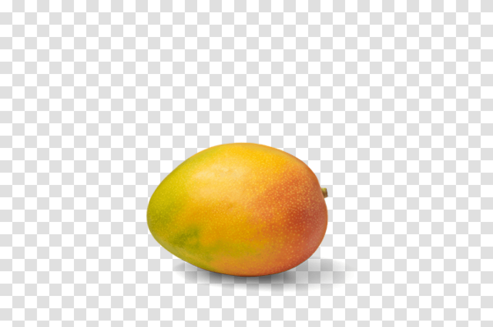Mango Free Download, Plant, Fruit, Food, Produce Transparent Png