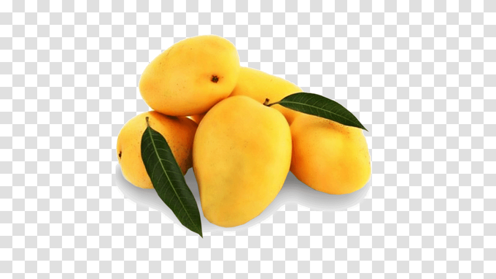 Mango Free Image Arts, Plant, Fruit, Food, Produce Transparent Png