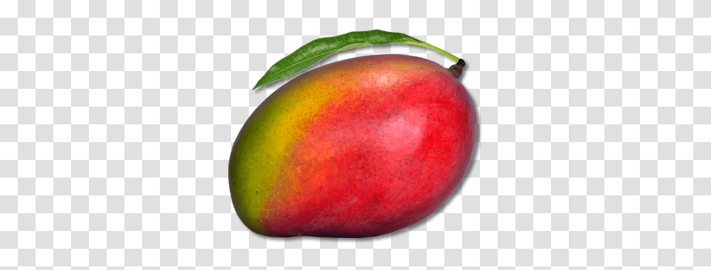 Mango, Fruit, Apple, Plant, Food Transparent Png