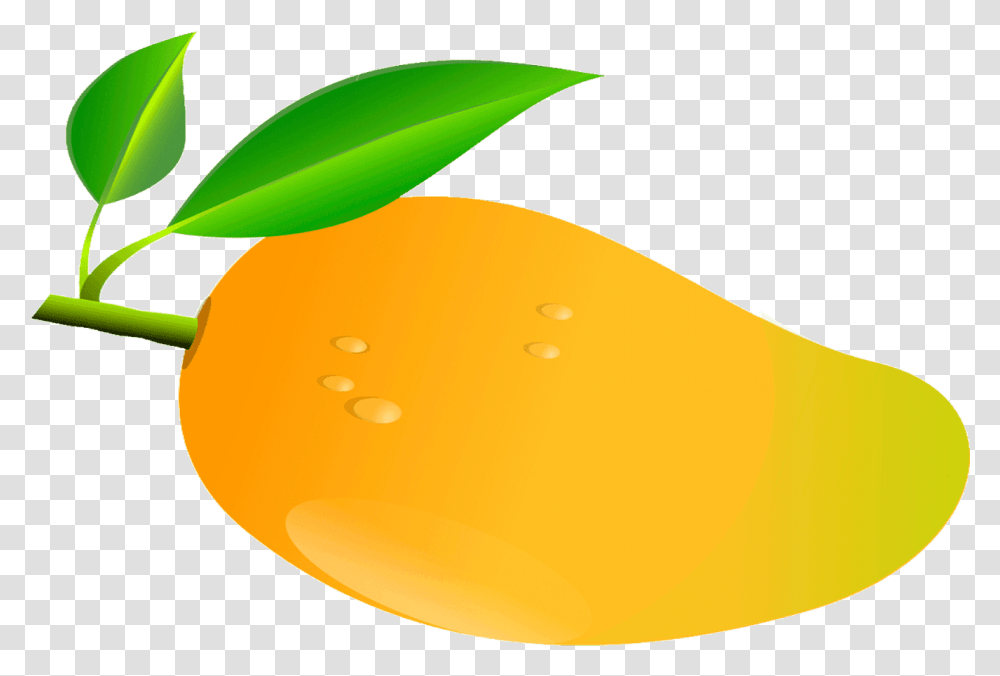 Mango Fruit Mango Clipart, Plant, Citrus Fruit, Food, Produce Transparent Png