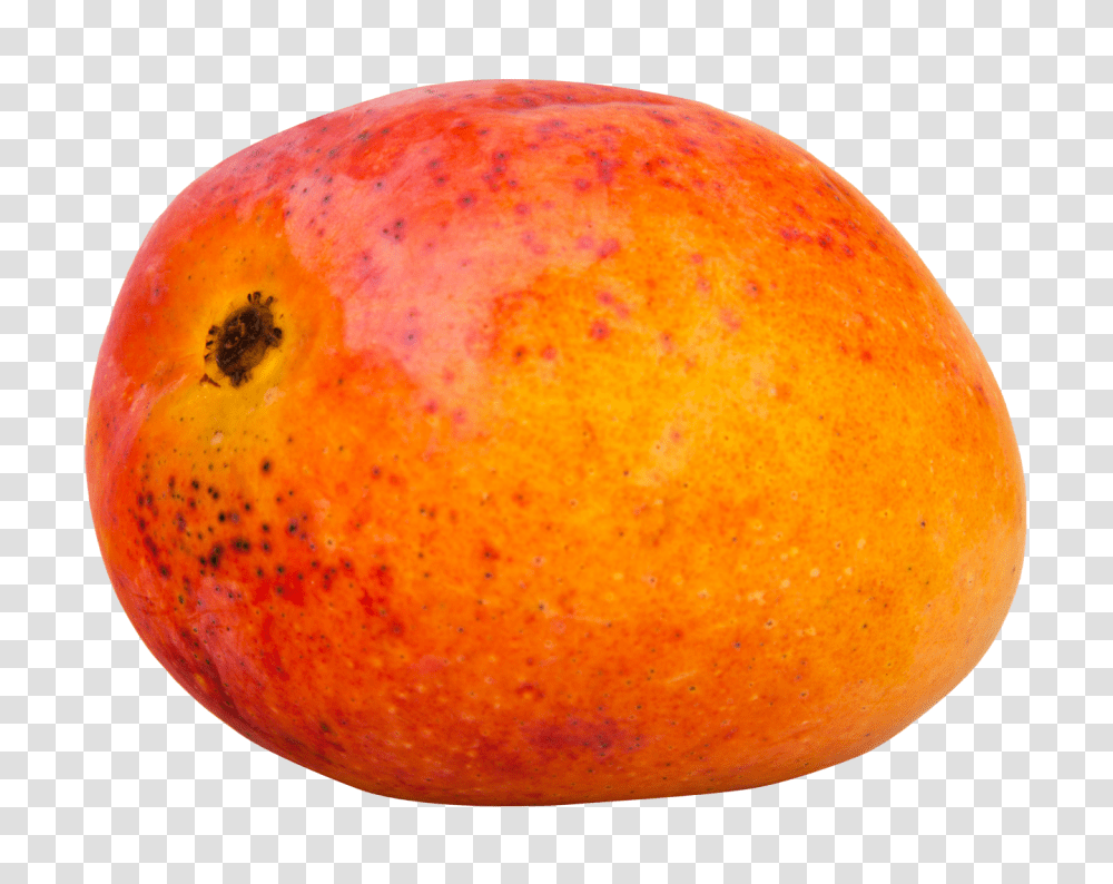 Mango, Fruit, Plant, Food, Apple Transparent Png