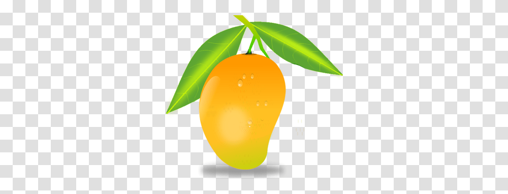 Mango, Fruit, Plant, Food, Orange Transparent Png