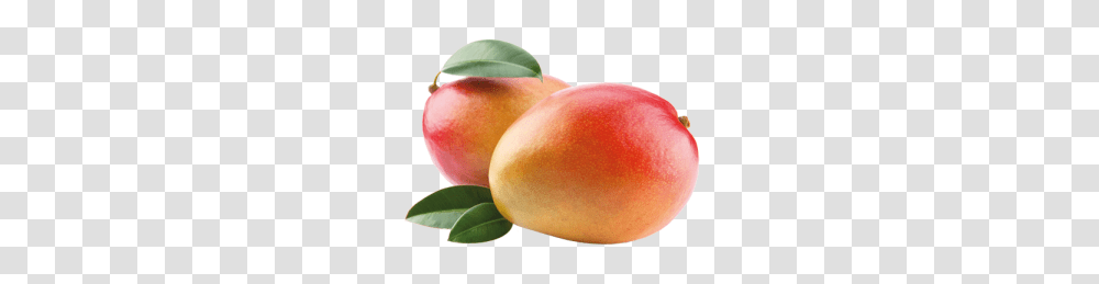 Mango, Fruit, Plant, Food, Peach Transparent Png