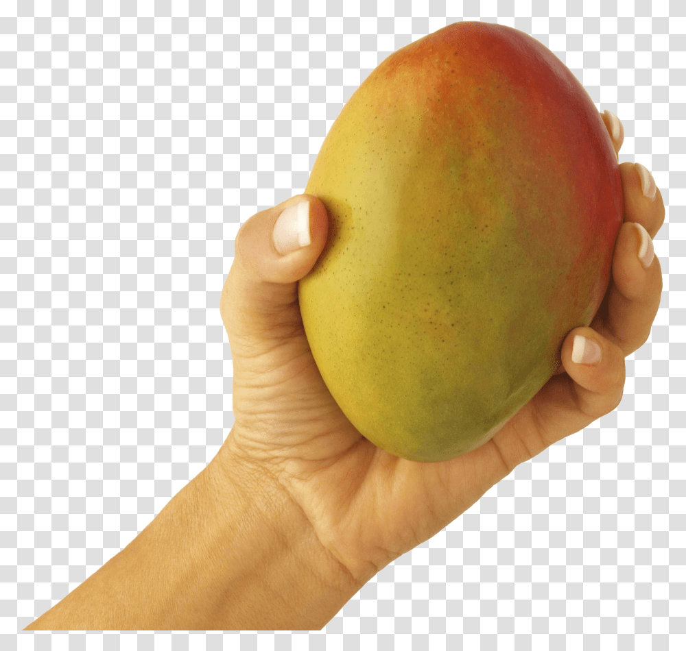 Mango, Fruit, Plant, Food, Person Transparent Png