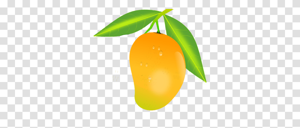 Mango, Fruit, Plant, Leaf, Citrus Fruit Transparent Png