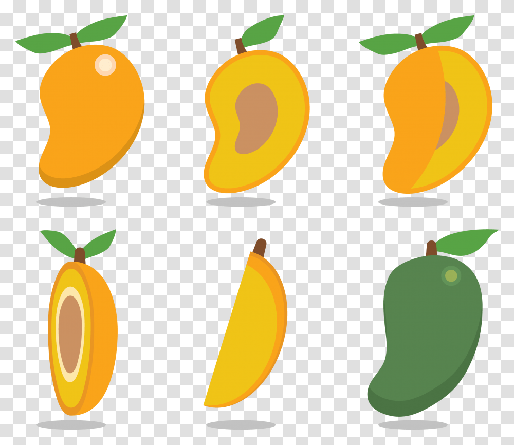 Mango Fruit Vector Free Download Fruit Mango Vector, Plant Transparent Png