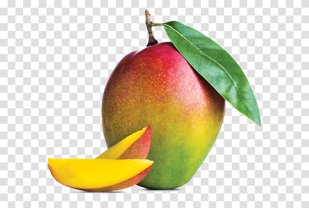 Mango Hd Background, Plant, Fruit, Food Transparent Png