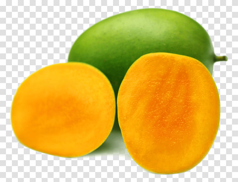 Mango Image Amp Mango Clipart Langra Mango, Orange, Citrus Fruit, Plant, Food Transparent Png