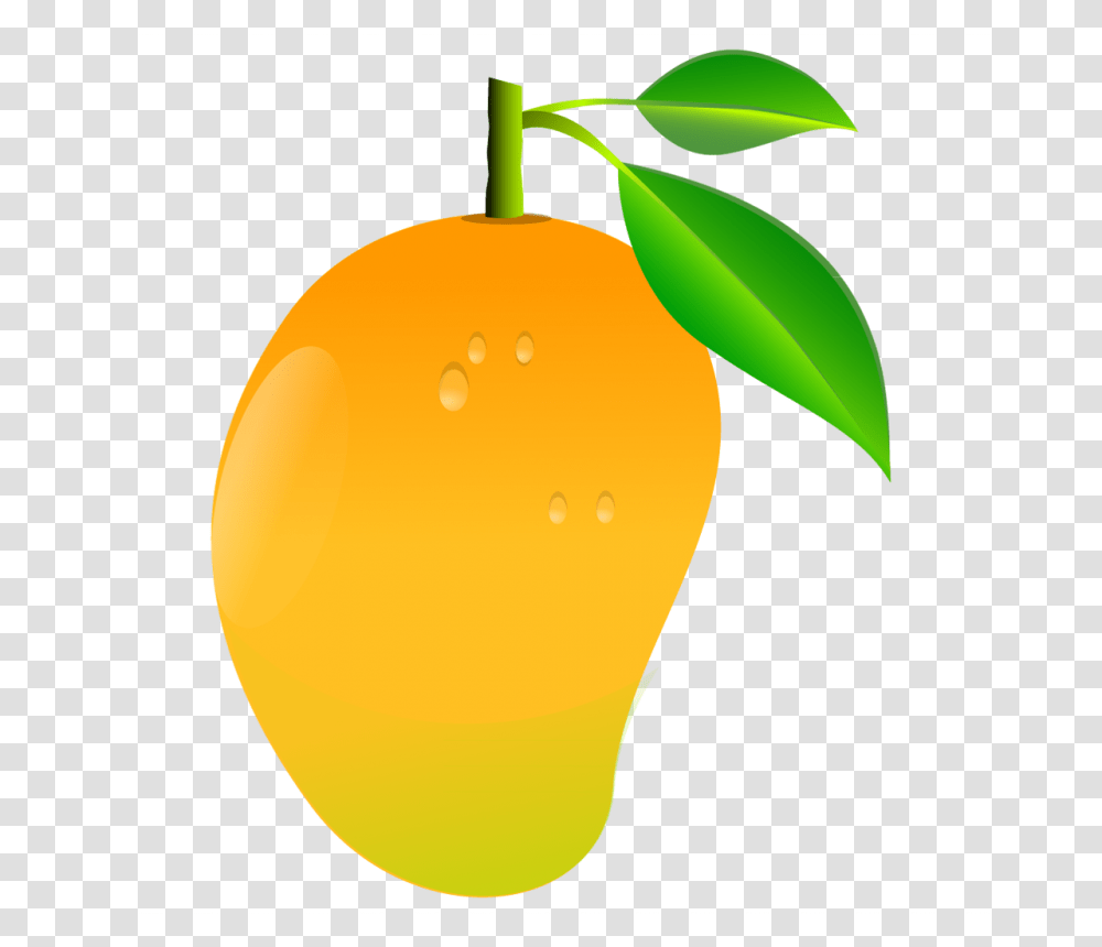 Mango Image Mango Clipart, Plant, Fruit, Food, Citrus Fruit Transparent Png