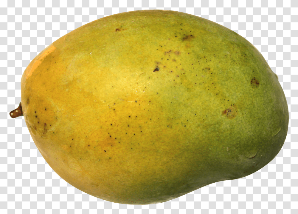 Mango Image Mango, Plant, Fruit, Food, Apple Transparent Png