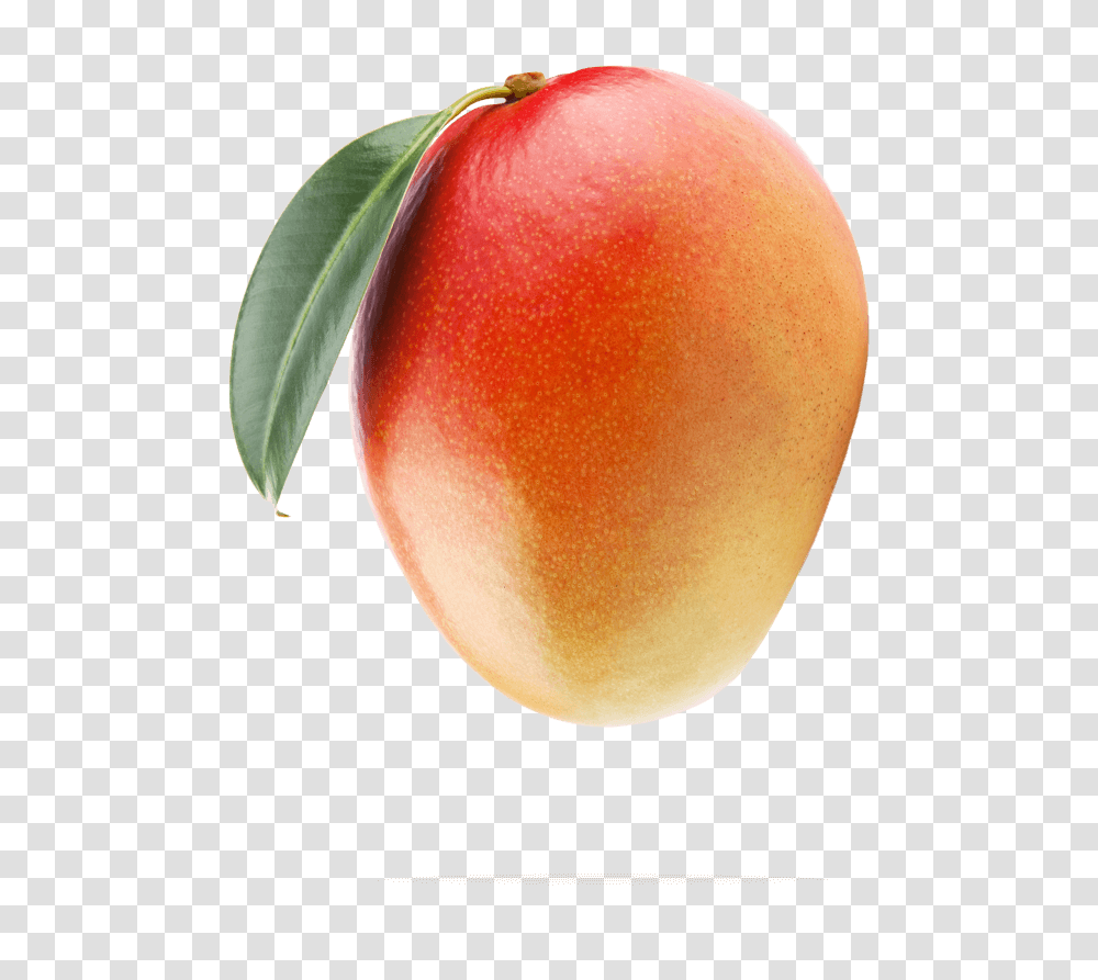 Mango Image With No Mango, Plant, Apple, Fruit, Food Transparent Png