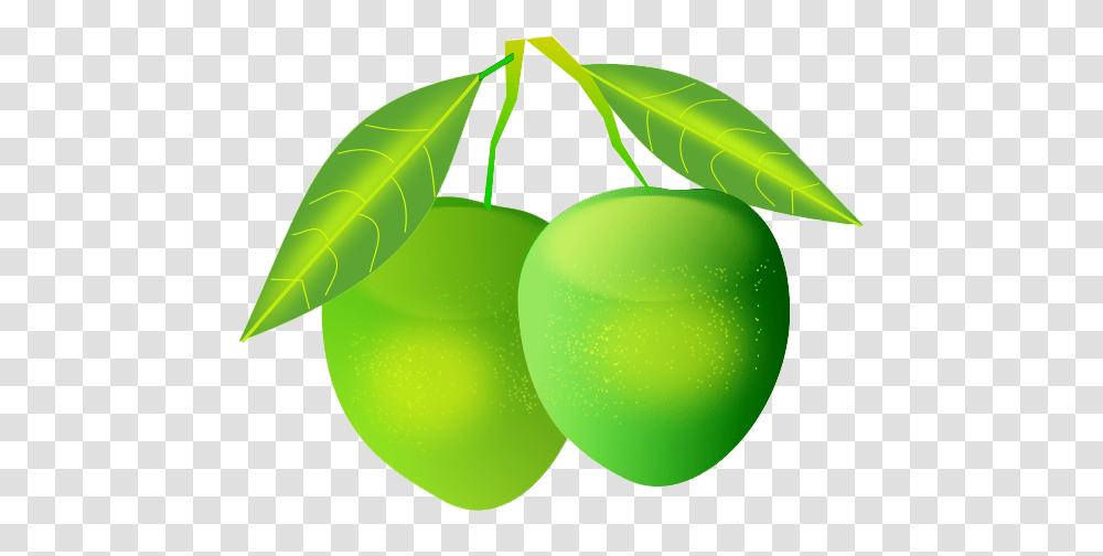 Mango Images All Green Mangoes, Plant, Tennis Ball, Sport, Sports Transparent Png
