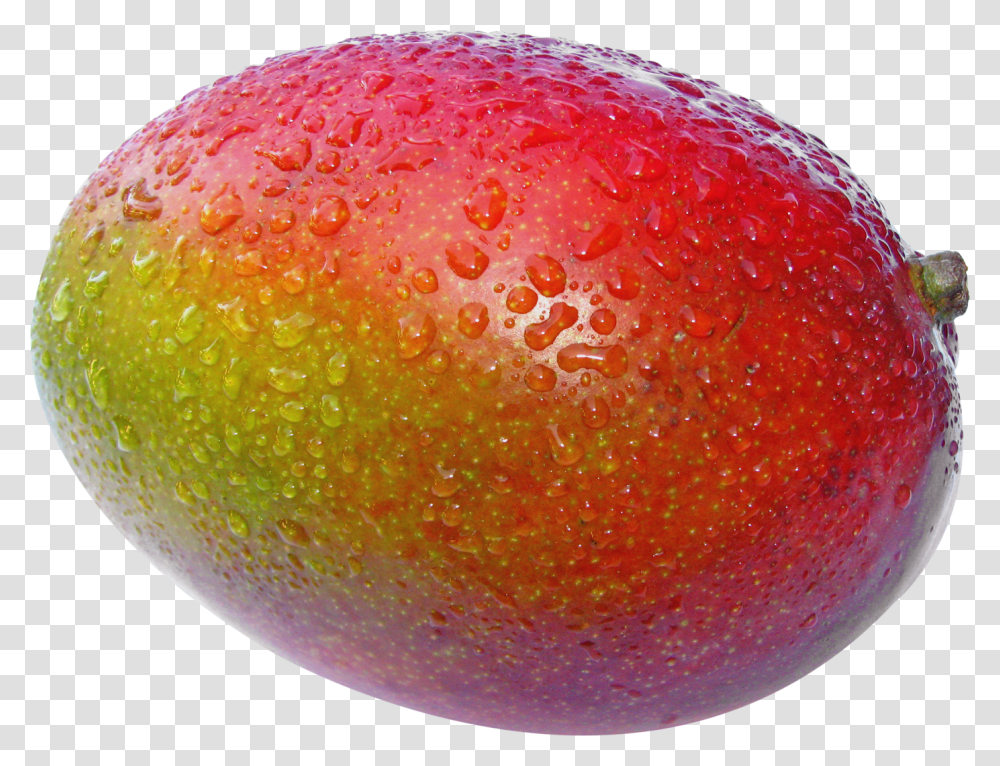 Mango Images Clip Art Illustrations Pictures Pretty Mango, Plant, Fruit, Food, Strawberry Transparent Png