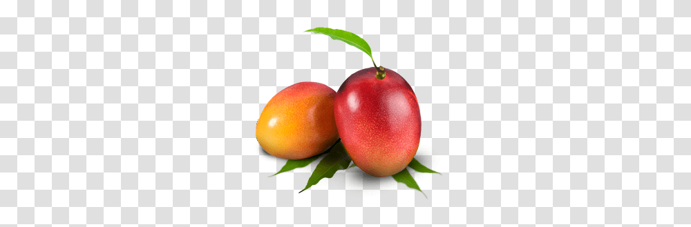 Mango Images Free Download, Plant, Fruit, Food, Apple Transparent Png