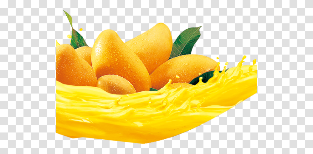 Mango Images Mango Juice Splash, Plant, Fruit, Food, Orange Transparent Png