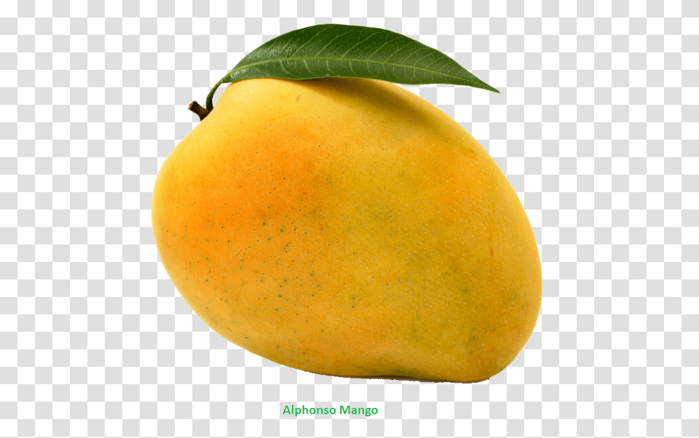 Mango Mango, Plant, Fruit, Food, Produce Transparent Png