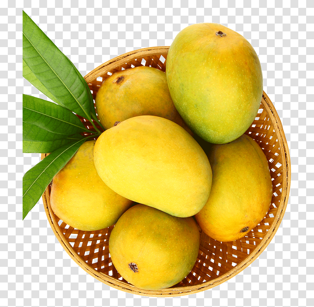 Mango Natural, Plant, Fruit, Food Transparent Png